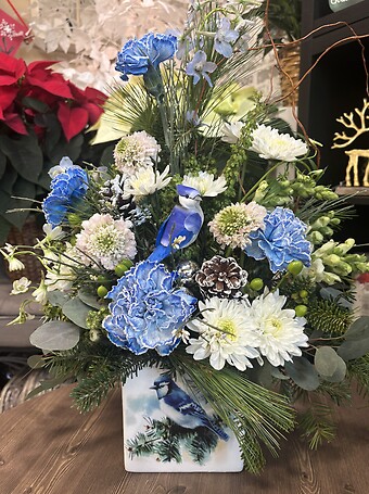 Winter Blue Jay Delight