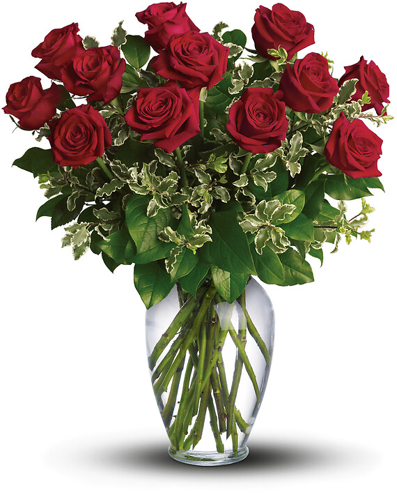 Aversa&#039;s  - Long Stemmed Red Roses