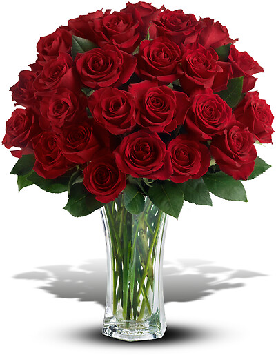 Aversa&#039;s Love and Devotion - Long Stemmed Red Roses