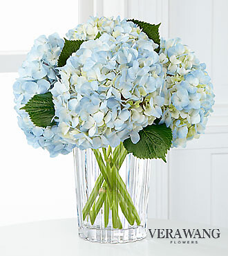 Blue Hydrangeas by Aversa&#039;s