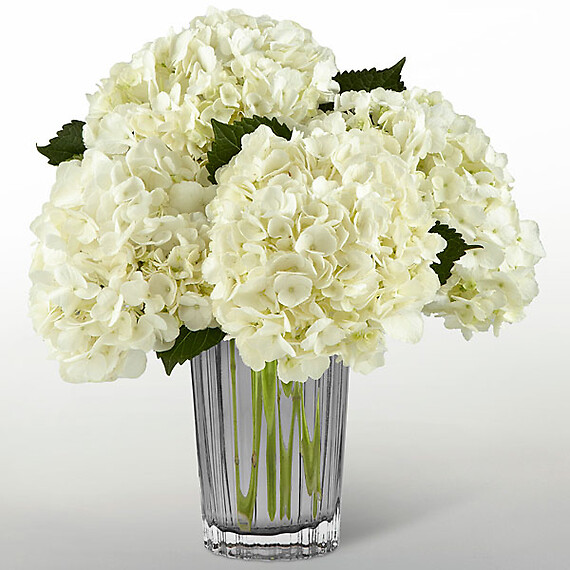 The Ivory Hydrangea Bouquet by Aversa&#039;s
