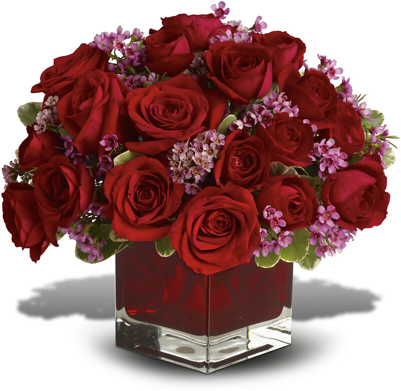 Never Let Go 18 Red Roses arranged by a florist in Glendora, NJ